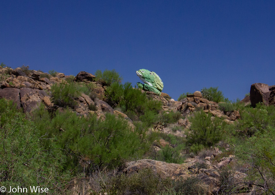 Green Frog Rock in Congress, Arizona