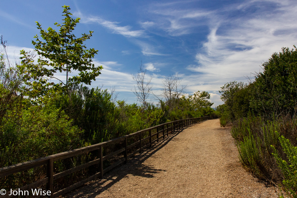 Ballona Freshwater Marsh in Playa Del Ray, California