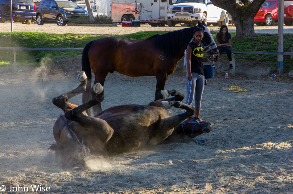 Bill Pickett Invitational Rodeo in Los Angeles, California