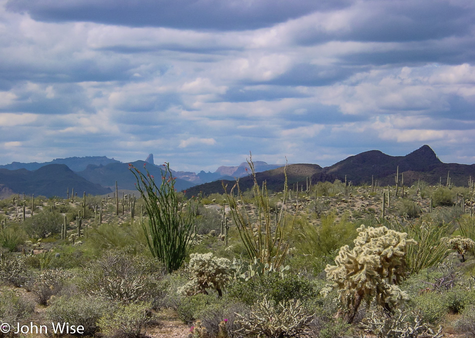 Along highway 60 in Arizona