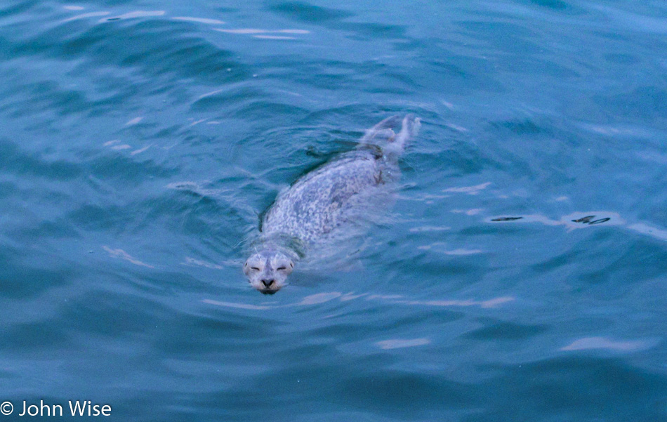 Monterey Bay, California