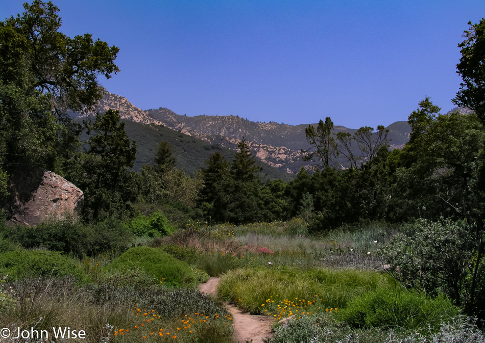 Santa Barbara Botanic Garden in California