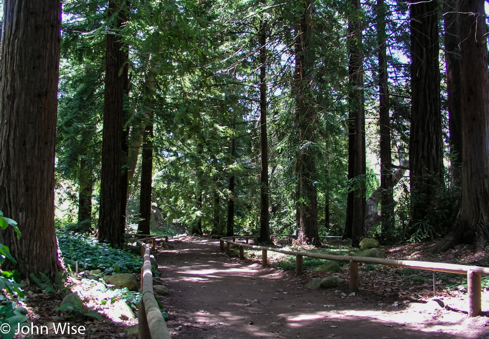 Santa Barbara Botanic Garden in California