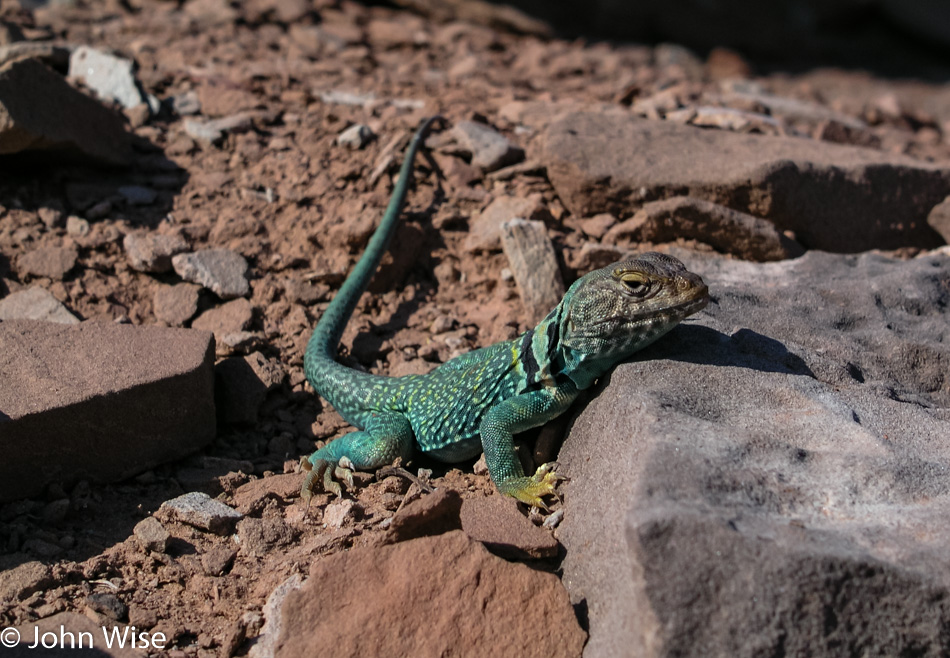 Homolovi State Park in Winslow, Arizona