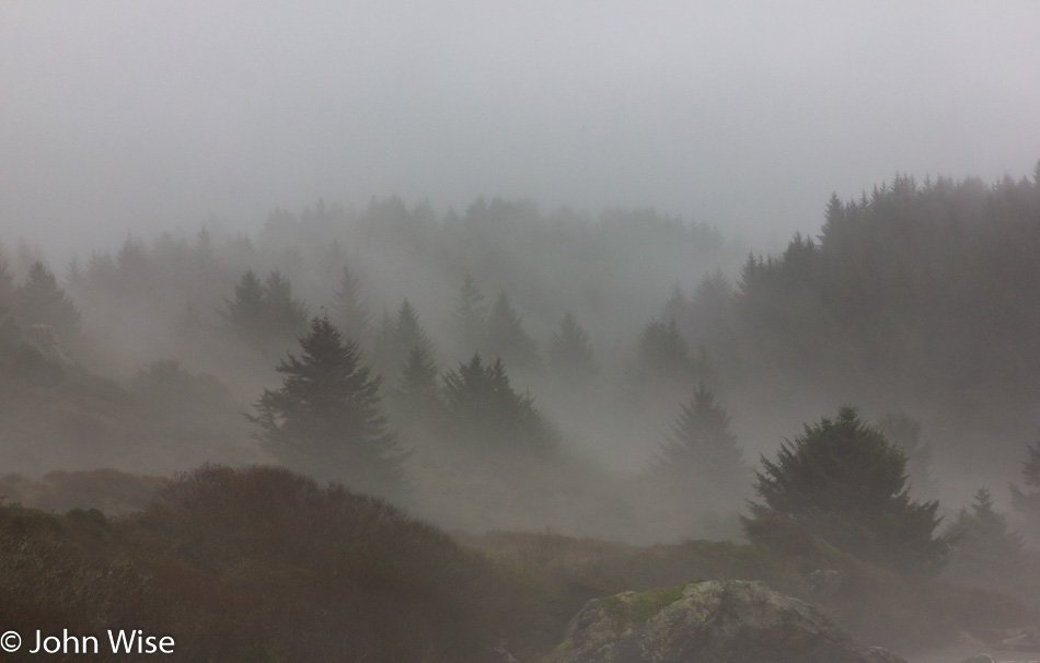 Lone Ranch on the Oregon Coast