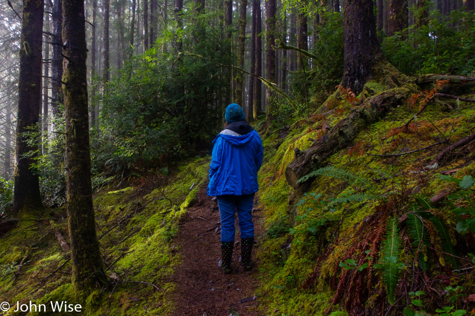 Carl G. Washburne State Park near Florence, Oregon