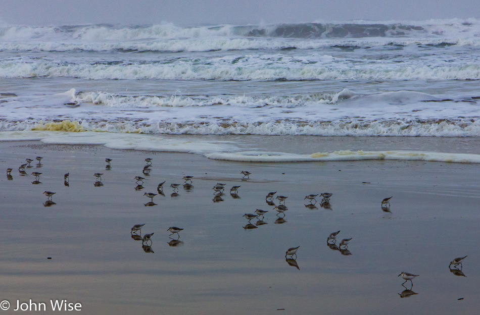 Beach at Moolak Shores Inn north of Newport, Oregon