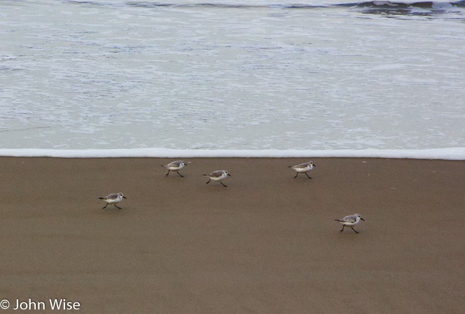 Beach at Moolak Shores Inn north of Newport, Oregon