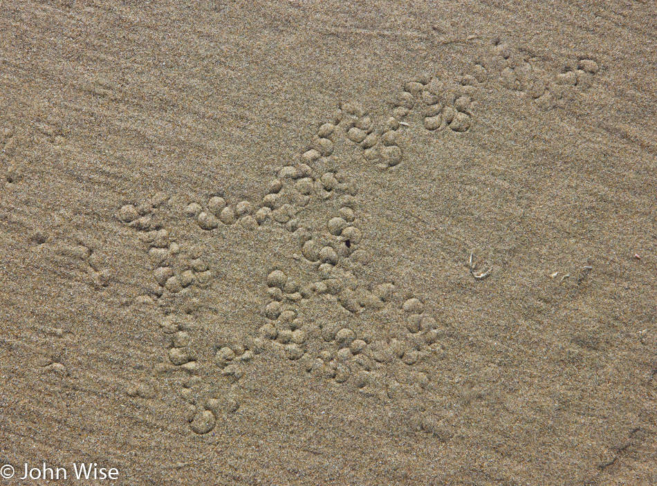 Nye Beach in Newport, Oregon