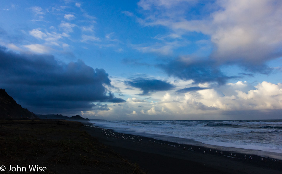 On the south Oregon coast