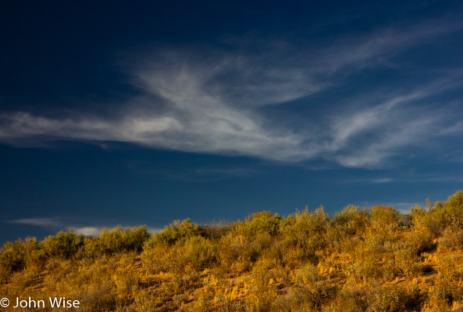 The Desert in Phoenix, Arizona