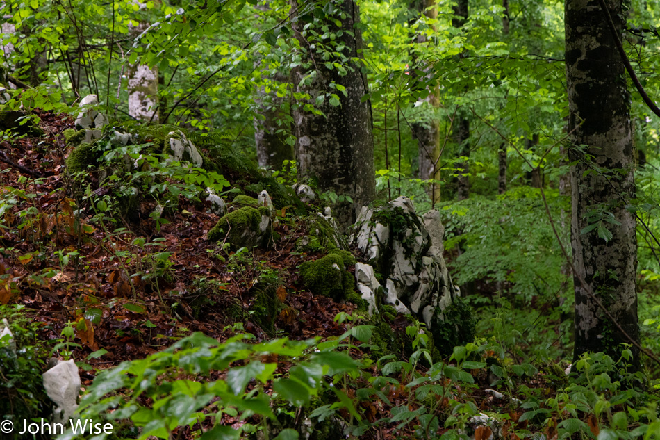 Plitviče Lakes National Park in Croatia