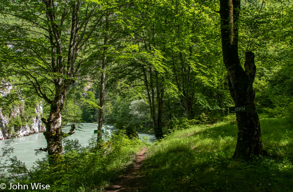 Tara River in the Balkans