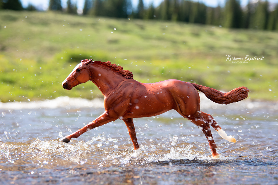 Horse in Colorado by Katharina Engelhardt