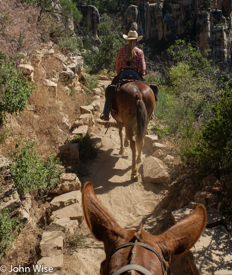 Grand Canyon National Park in Arizona