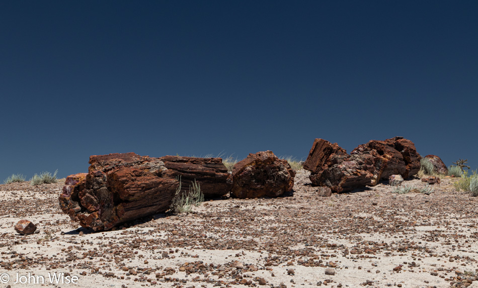 Petrified Forest National Park in Arizona