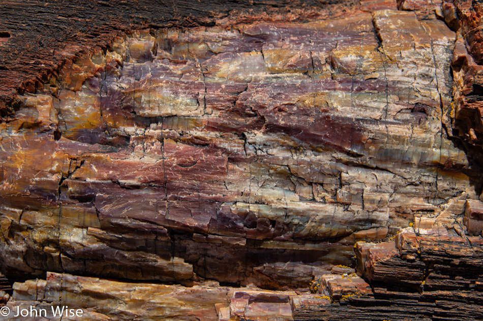 Petrified Forest National Park in Arizona