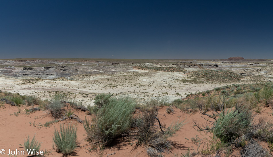 Petrified Forest National Park in Arizona