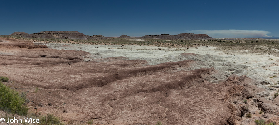 Petrified Forest National Park in Arizona