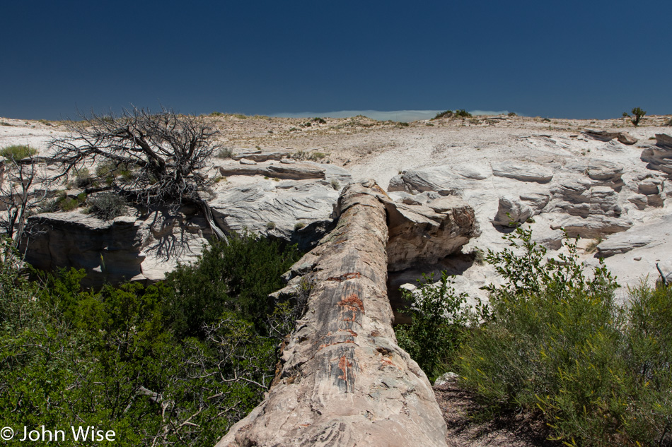 Petrified Forest National Park in Arizona