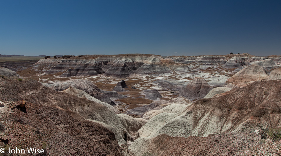 Petrified Forest National Park in Arizona