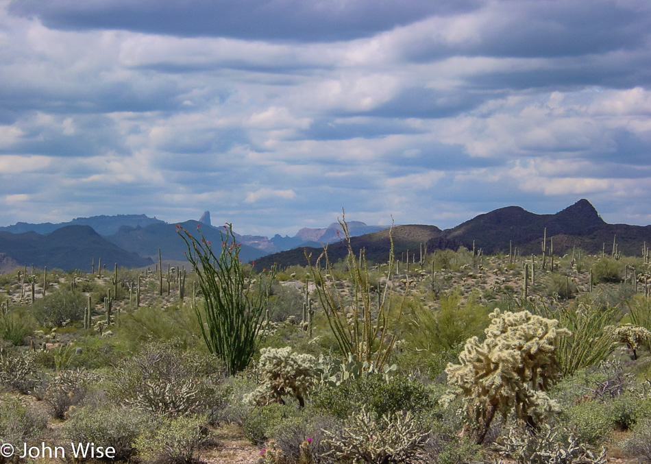 Arizona desert