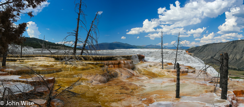 Canary Spring in Yellowstone July 2007