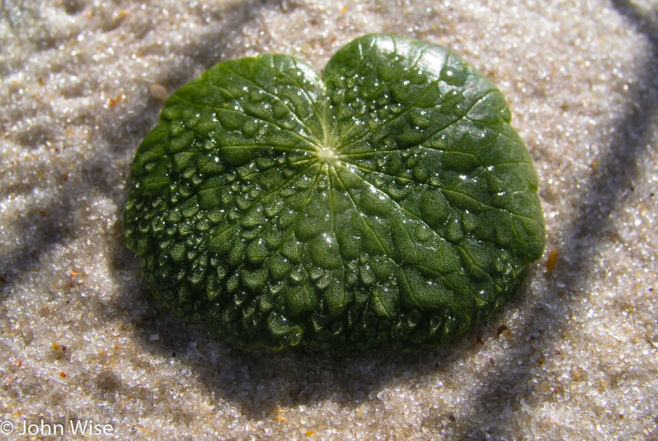 Florida coast in 2005