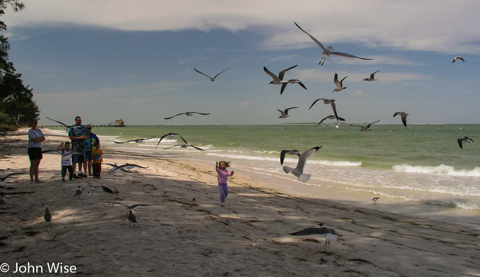 Florida coast in 2005