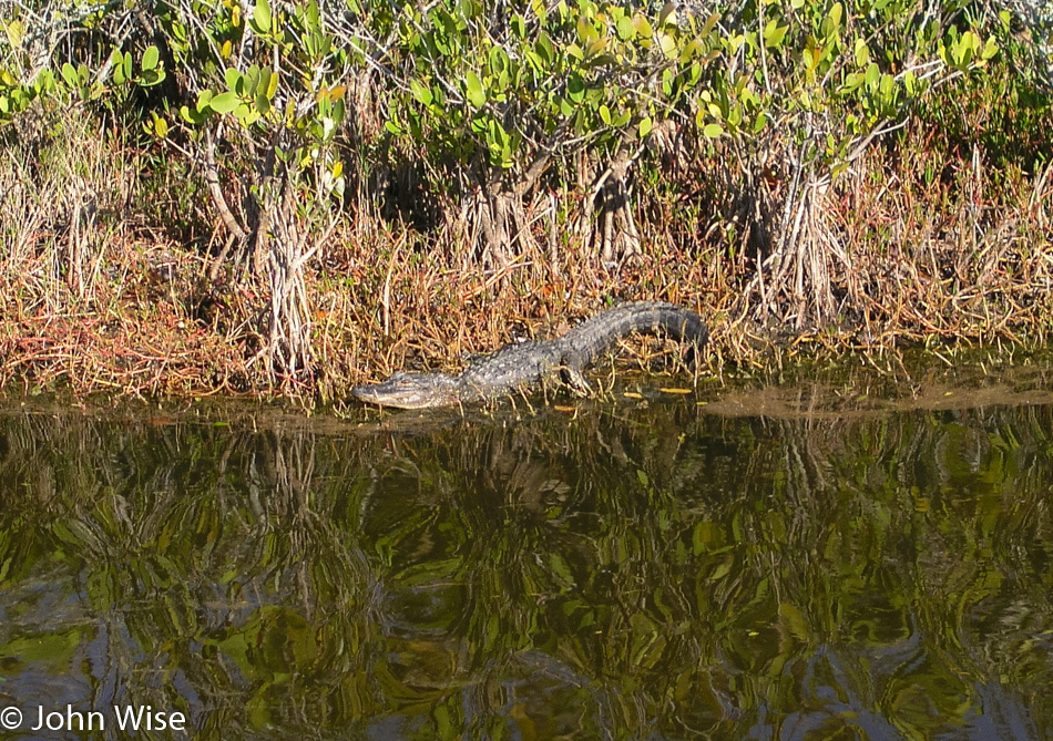 Merritt Wildlife Refuge in Florida