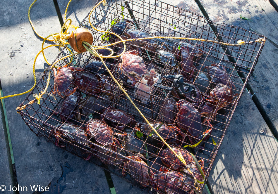 Crab Pot in Bar View, Oregon