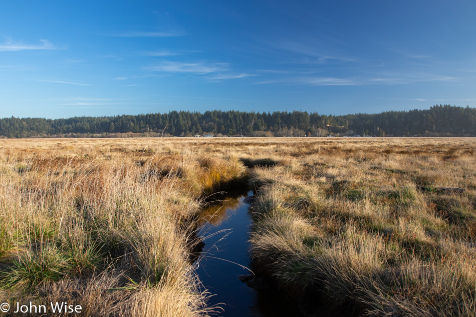 Bandon Marsh in Bandon, Oregon