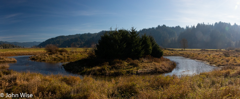 Wetland next to Umpqua River in Oregon