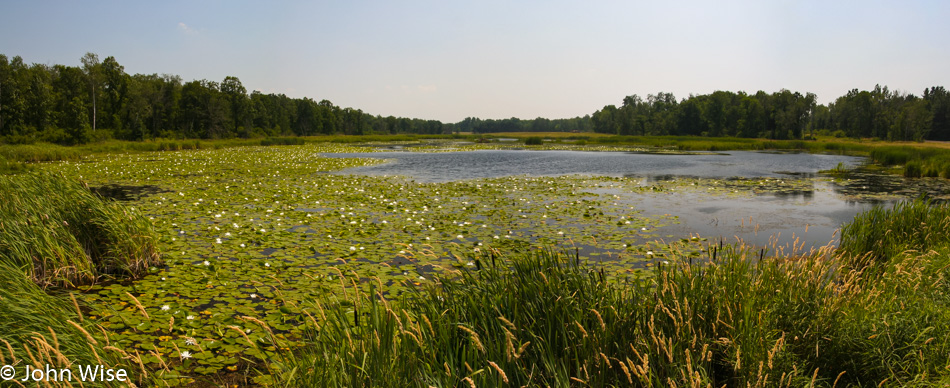 Minnesota