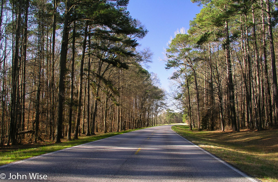 Natchez Trace in Mississippi March 2005