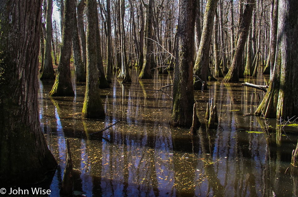 Natchez Trace in Mississippi March 2005