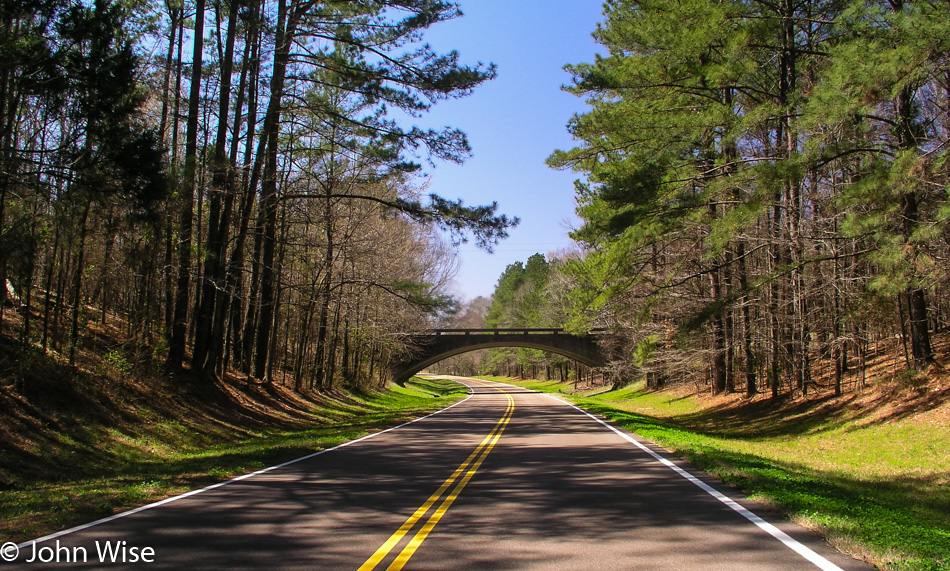 Natchez Trace in Mississippi March 2005