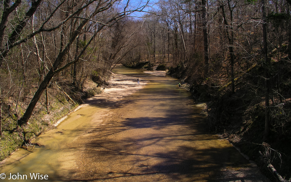 Natchez Trace in Mississippi March 2005