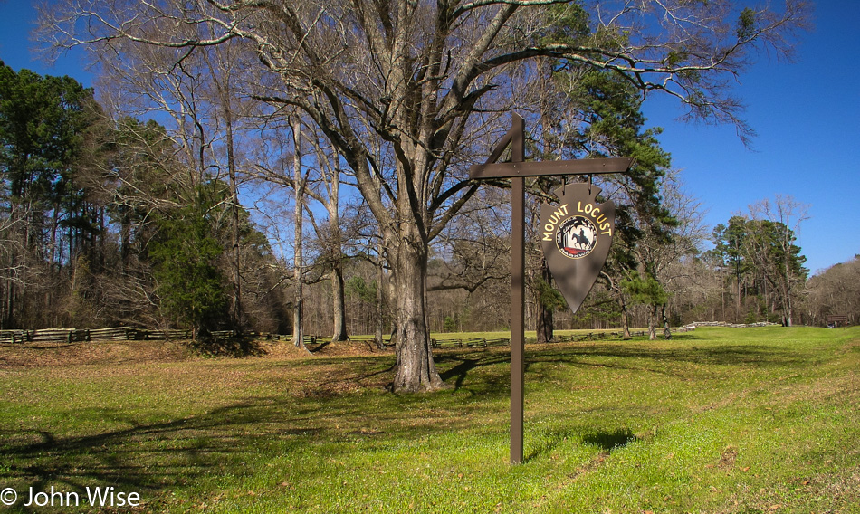 Natchez Trace in Mississippi March 2005