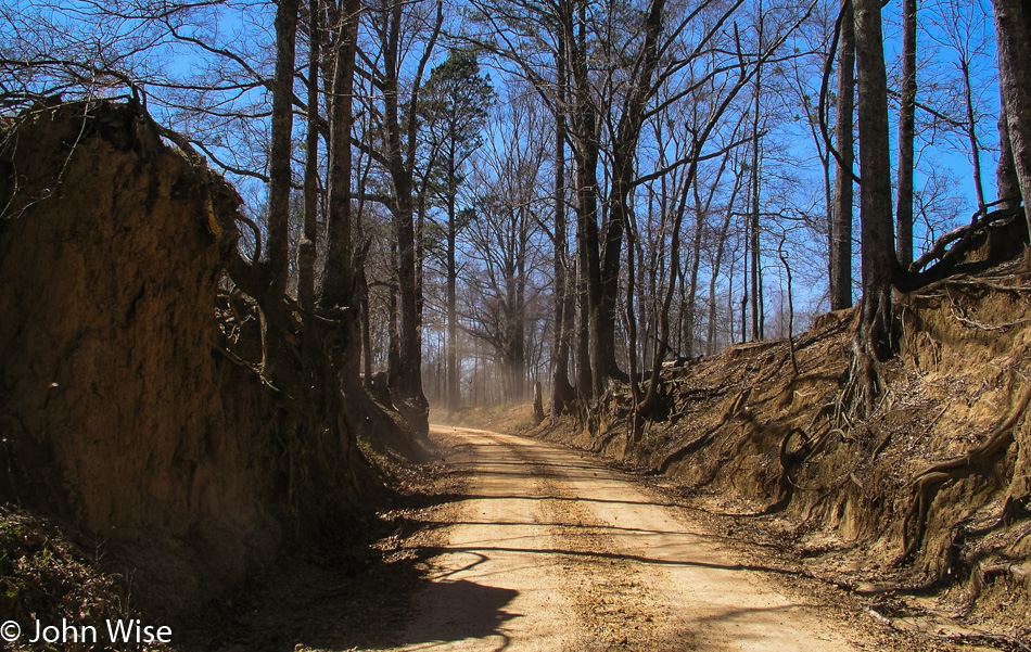 Natchez Trace in Mississippi March 2005