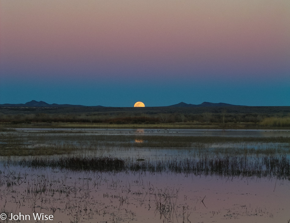 Moon rise at Bosque Del Apache National Wildlife Refuge near Socorro New Mexico