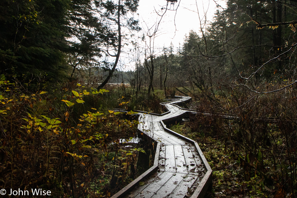 South Slough National Estuarine Research Reserve in Charleston, Oregon