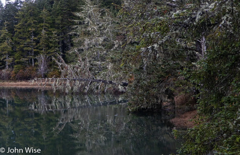 South Slough National Estuarine Research Reserve in Charleston, Oregon