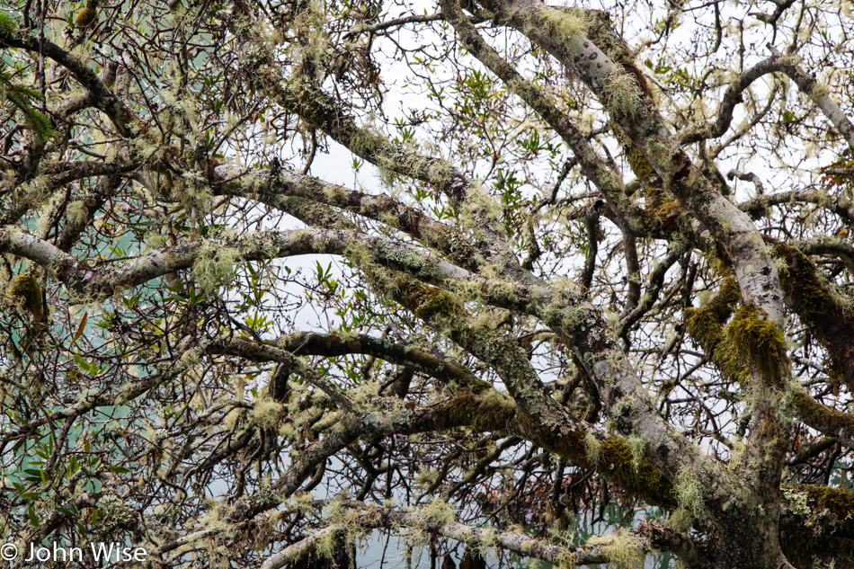 South Slough National Estuarine Research Reserve in Charleston, Oregon