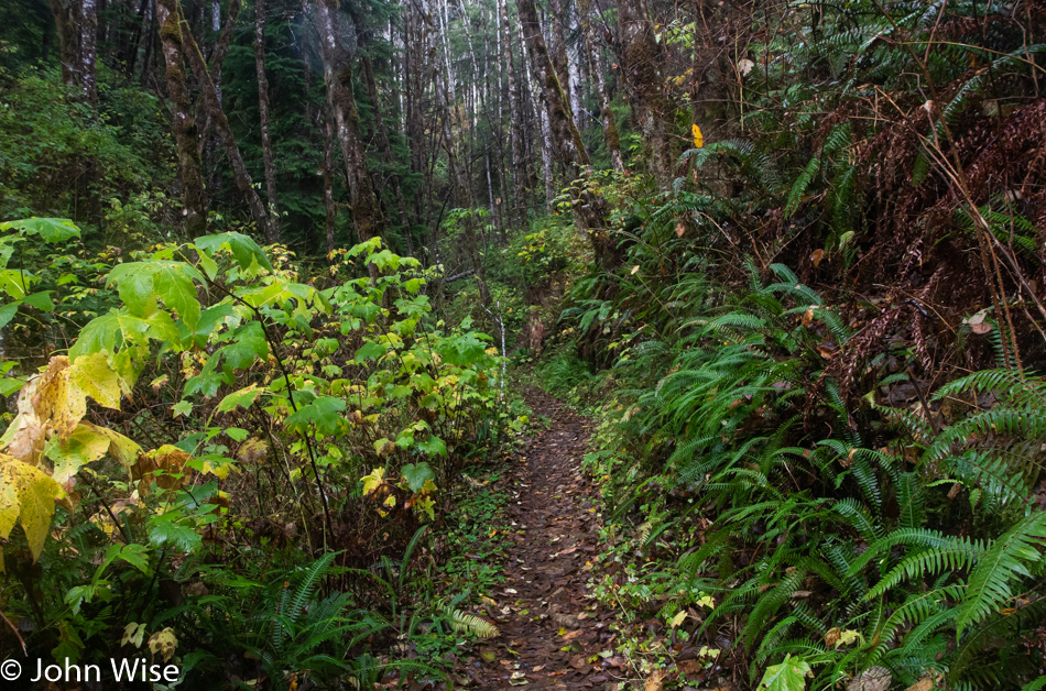 South Slough National Estuarine Research Reserve in Charleston, Oregon