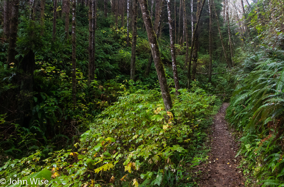 South Slough National Estuarine Research Reserve in Charleston, Oregon