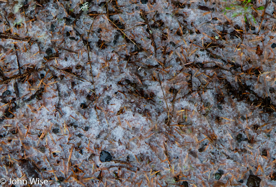 Snow on the side of the road at Haceta Head in Oregon