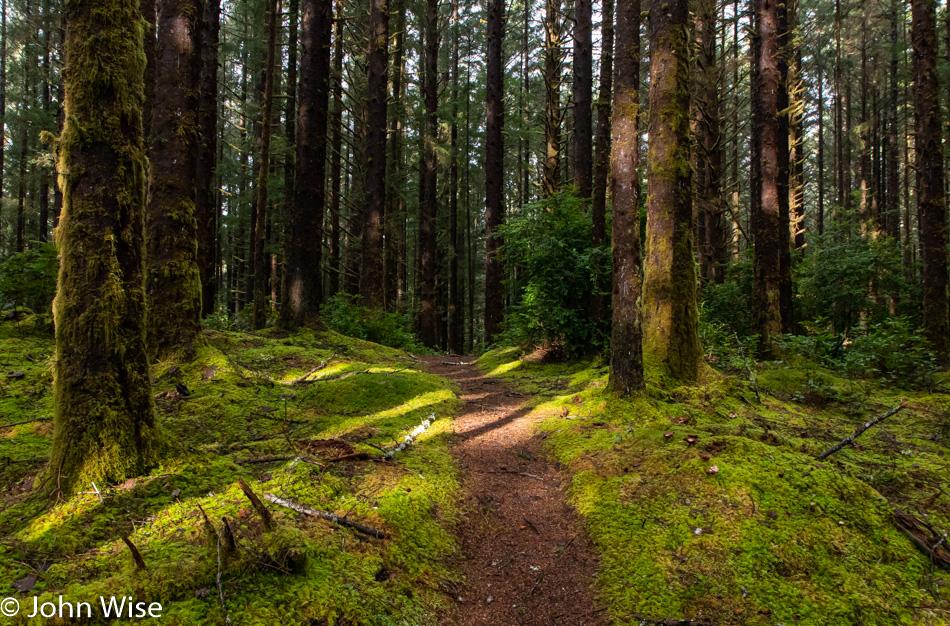 Carl G Washburne State Park in Florence, Oregon