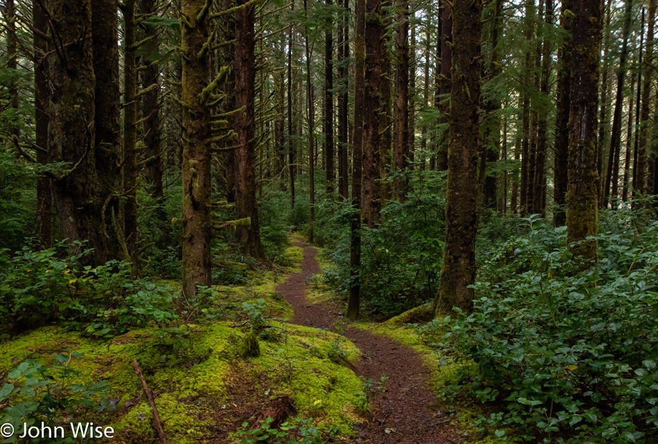 Carl G Washburne State Park in Florence, Oregon