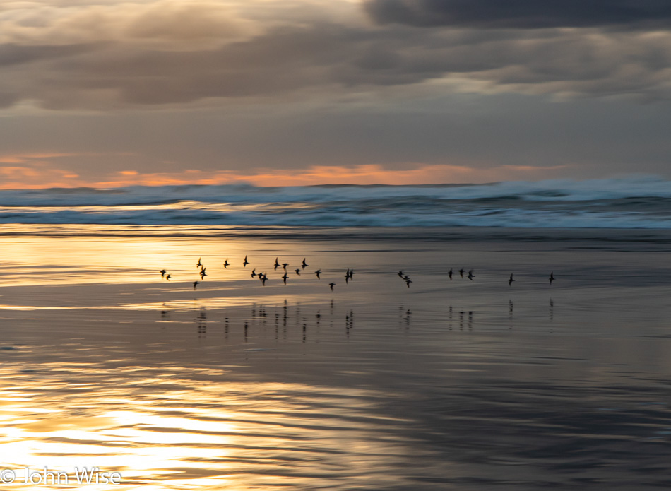 South Beach in Newport, Oregon